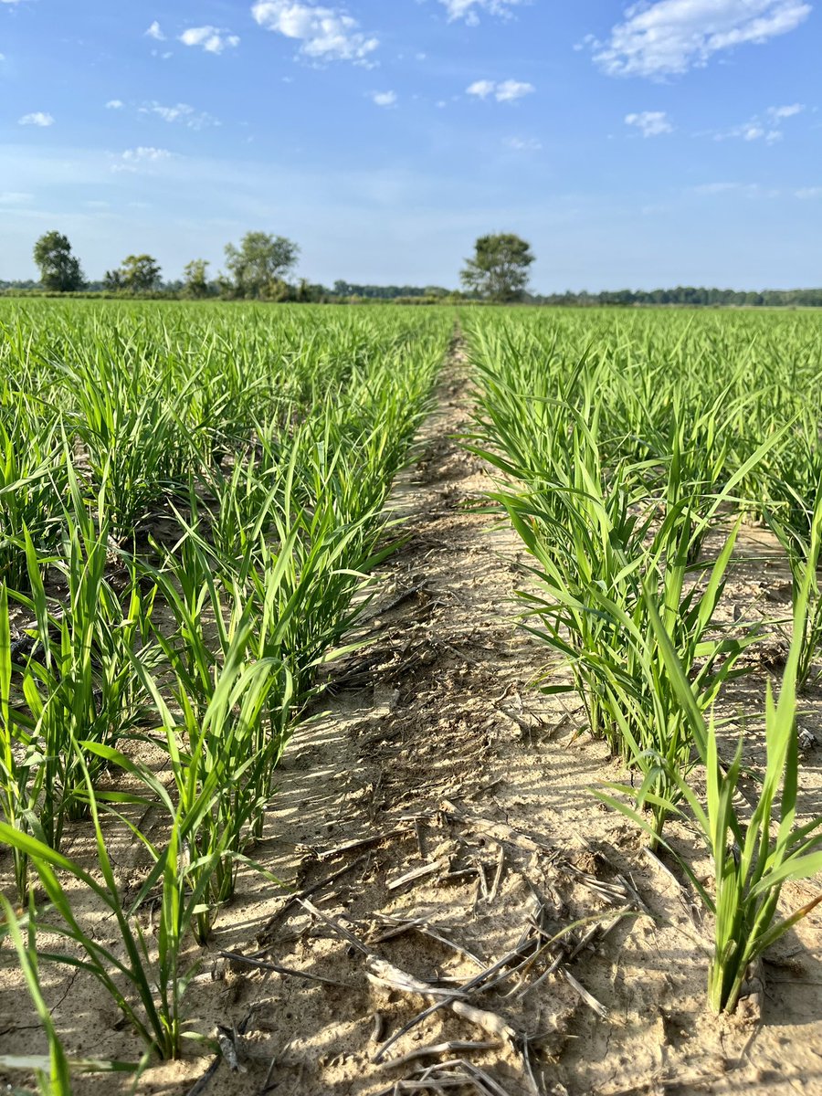 Nutrien Ag Solutions tweet media