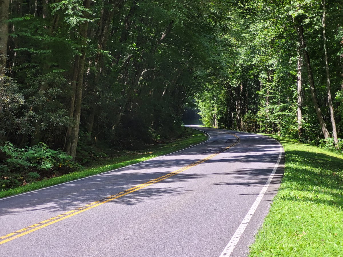CaptainStupendo's tweet photo. Taking the Smokey Mountain pass to pigeon forge then back to BRP entrance to start the trip home. Glad I didn't take this last night, GORGEOUS road, and would have been a waste in the dark https://t.co/kq7VpVYnFH