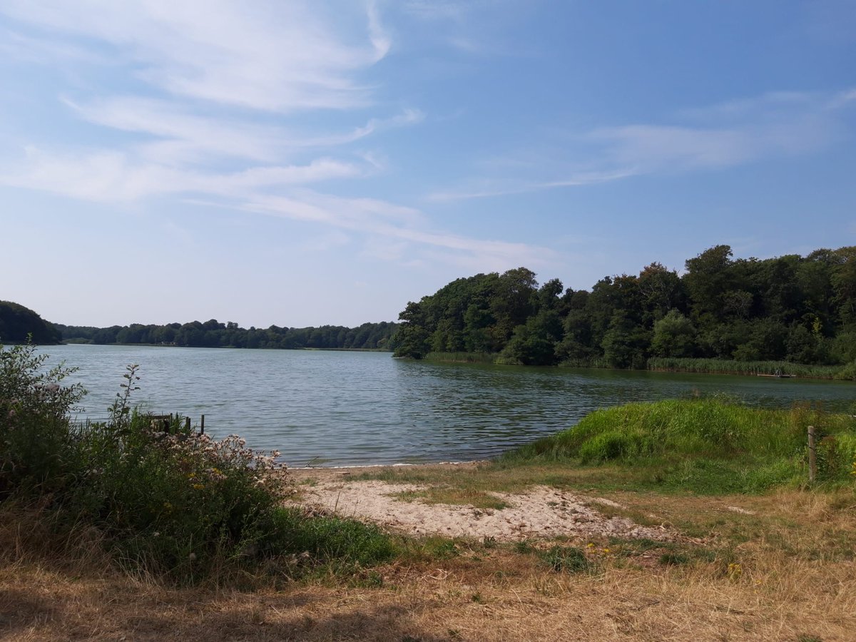marcel_niekus's tweet photo. Today we visited 2 famous Late #Palaeolithic sites in #Denmark, #Jels and #Slotseng. Jels, located behind the shrubbery, was difficult to acces due to my broken arm but Slotseng was easily reached, beautiful location. #Hamburgian #Federmesser #Brommian https://t.co/WEBePKw2k1