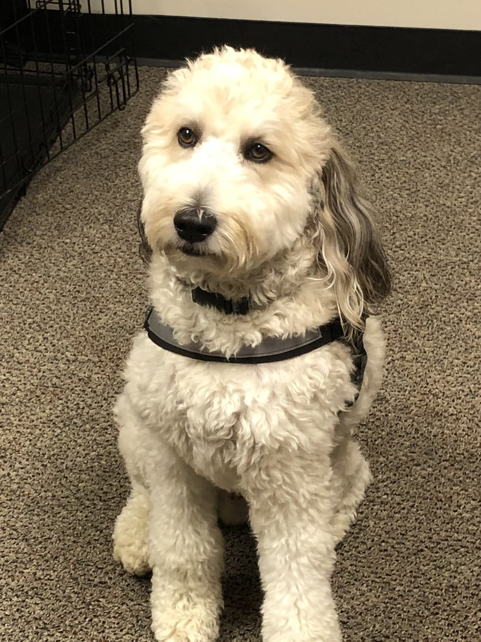 Dr. Jason McDowell (JMcDowellEdD) / Twitter