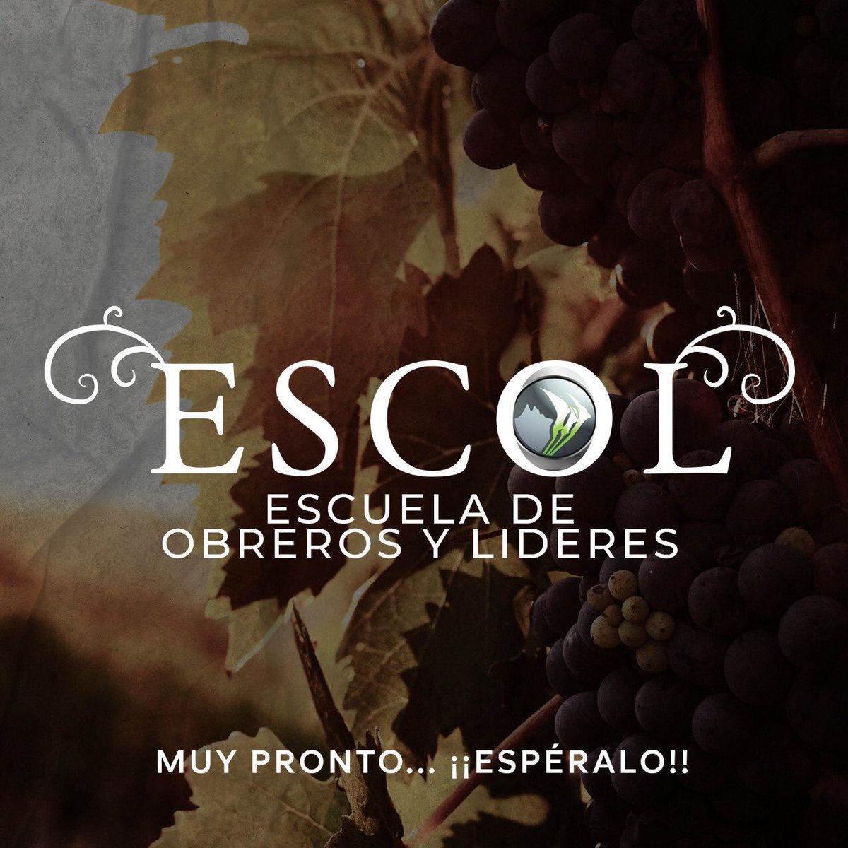 LPCristiana's tweet photo. #ESCOL 🍇Una galería de escuelas ministeriales diseñada para entrenar  a los equipos de servidores de tu iglesia. Tales como:
✅Servidores 
✅Ujieres 
✅Escuderos 
✅Asistentes Pastorales (Coperos)
✅Intercesores 
✅Grupos de evangelismo
 ✅Líderes y mucho más. https://t.co/QIMvPVM4uj