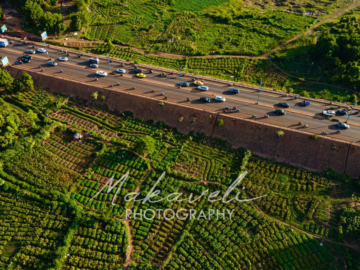 J’avais oublié de vous montrer cette partie de Bamako. 
Le maraîchage en plein centre ville 🏙. 

📸 Makaveli 📍Mali