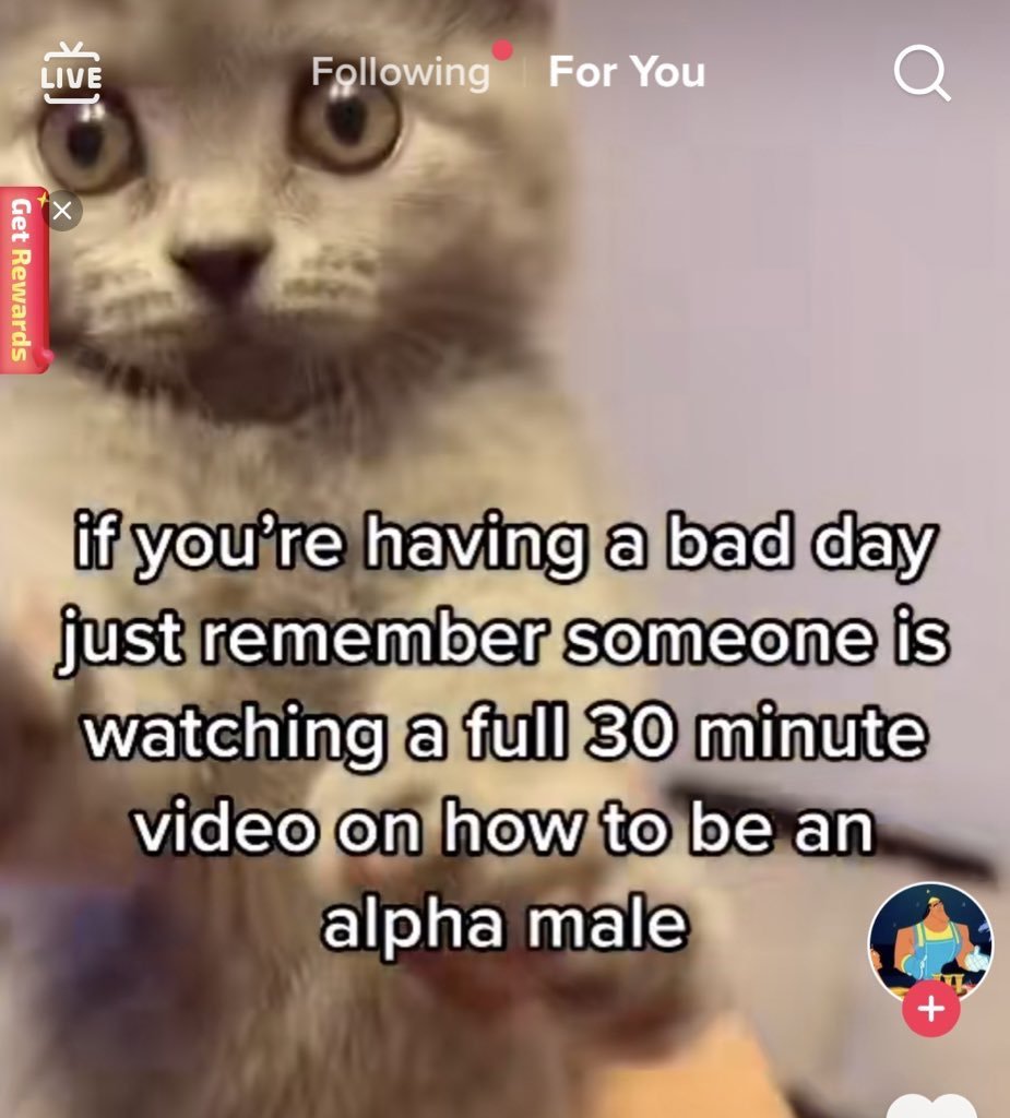 Jim Can't Swim tweet media