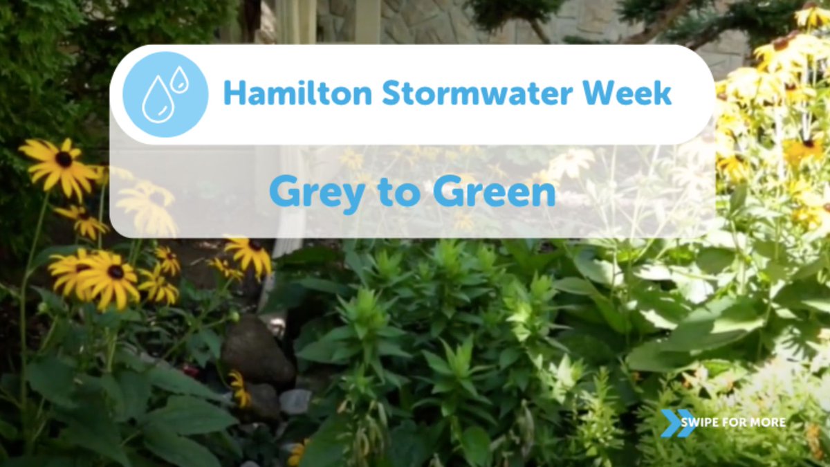 Green_Venture's tweet photo. #HamiltonStormwaterWeek continues! Learn why we want to go grey to green! shoutout to @GreenInfraOn for their awesome graphic! https://t.co/4MLcjgQZ6Q

#NATURhoods #StormwaterManagement #GreenInfrastructure #LowImpactDevelopment https://t.co/qtNmpaHp3n