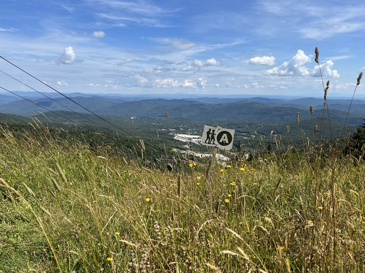 onnna_es's tweet photo. met up with the crew on A Trail to rack them miles 🦃 #trailrunning #completethepeak #killington #hitthetrails https://t.co/uLDuPgOyZW