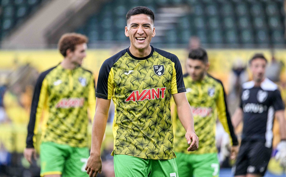 NorwichCityFC's tweet photo. Literally! 🇨🇱

#NCFC https://t.co/wahllVRnhY
