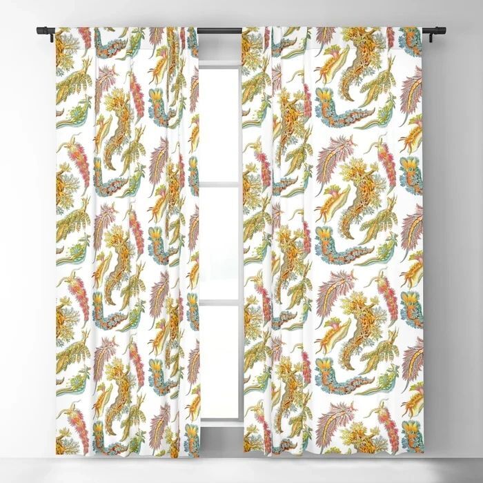 ScientistSnap's tweet photo. @society6 has curtains that you can get with nearly anything on them. Someone bought curtains with my Ernst Haeckel Nudibranch design.  I can image theis person has really cool decor. 
.
.
.
.
#ernsthaeckel #haeckel #nudibranch #nudibranchs #nudis #seasl… https://t.co/B2ladvsj1J https://t.co/tDo8DoAODr