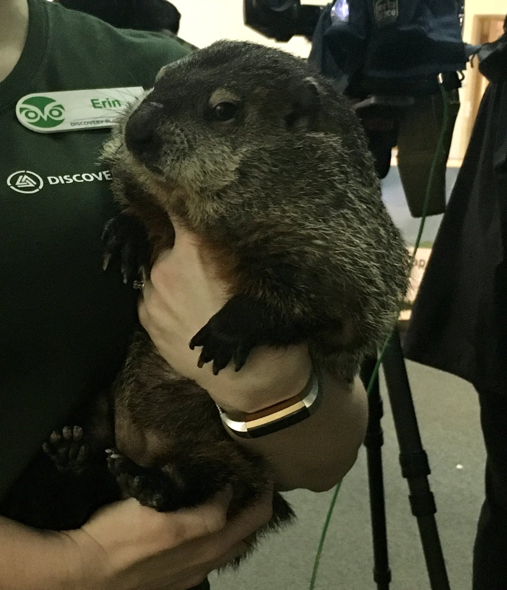 Truly majestic. We’ll miss you Queen Charlotte