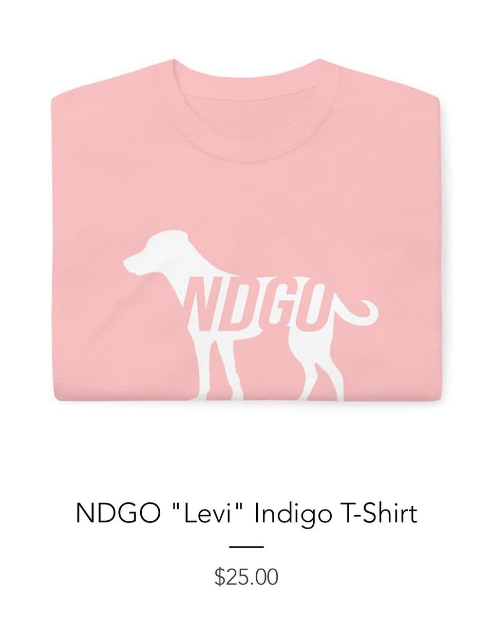 Indigo Productions tweet media