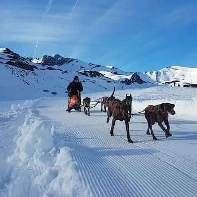 clubmushingleon's tweet photo. Hola a tod@s!!!

Ya tenemos abierto el plazo para la solicitud de entrada a formar parte de nuestro club.

Si eres aficionado al deporte, a los perros y a la naturaleza, este es tu sitio. https://t.co/IbRrBdkyRQ