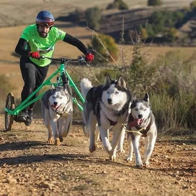 clubmushingleon's tweet photo. Hola a tod@s!!!

Ya tenemos abierto el plazo para la solicitud de entrada a formar parte de nuestro club.

Si eres aficionado al deporte, a los perros y a la naturaleza, este es tu sitio. https://t.co/IbRrBdkyRQ