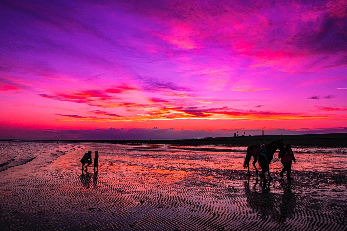 danwardle881's tweet photo. Perfect composition and story tonight. 

Pic 1 - daughter asks dad to stroke horse
Pic 2 - dad asks, lady declines, dad has to explain to daughter why not
Pic 4 - dad consoles daughter
Pic 5 - dad and daughter watch sunset

Love love love photography. 

#sunset #photography https://t.co/97dDXRf1aJ