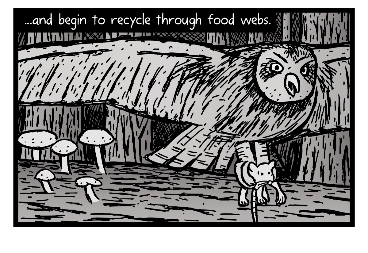 stuart_mcmillen's tweet photo. My comic 'Type III' is 10 years old. Still raises some good points about industrial ecology, recycling and circular thinking. #CircularEconomy 
Read the full 20 page thinkpiece via https://t.co/kdAXLkGIBr https://t.co/JHon1ydhkK