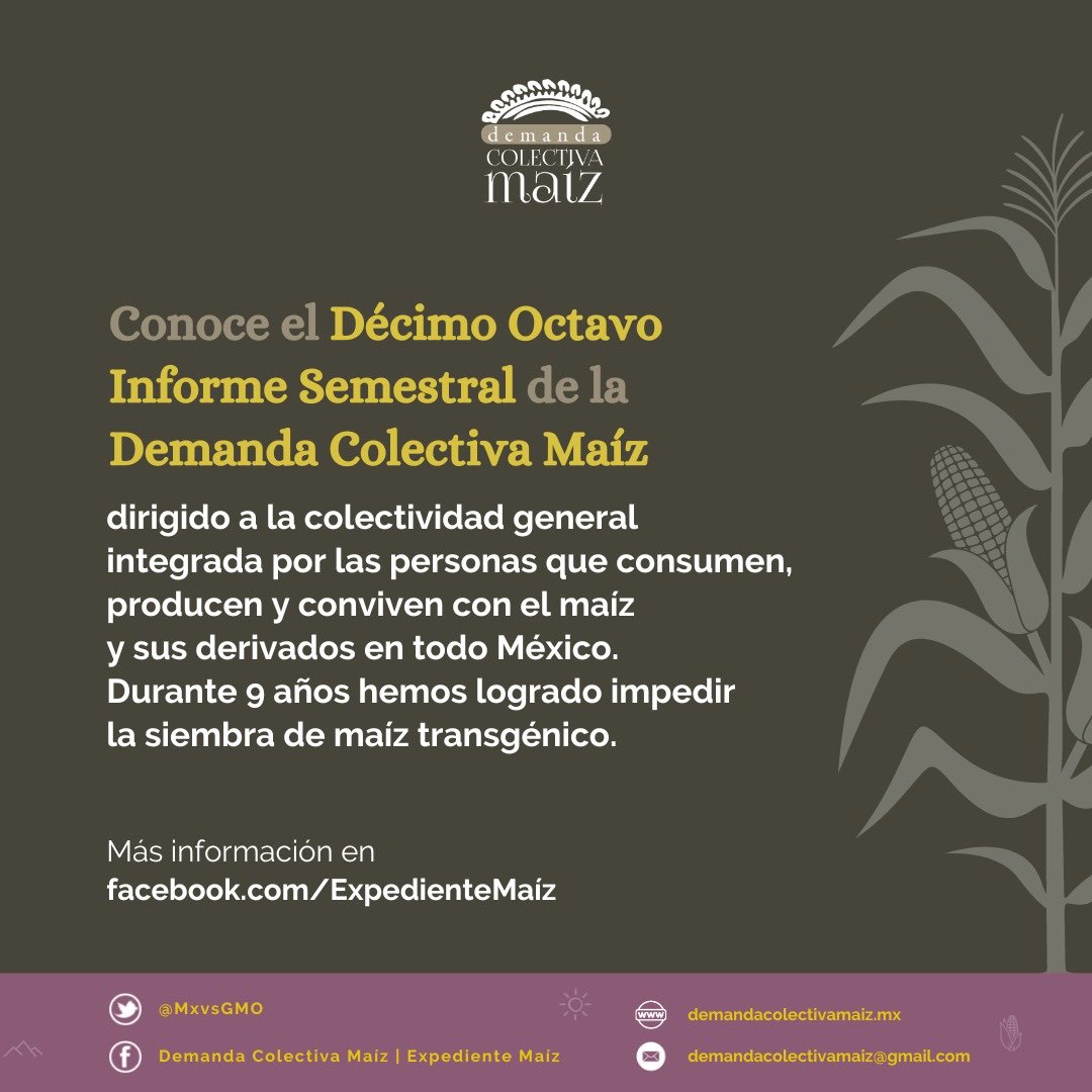 ANECMEXICO's tweet photo. Una lucha por la defensa de nuestra biodiversidad y alimentación. #Notransgenicos https://t.co/qngUl4oNjm