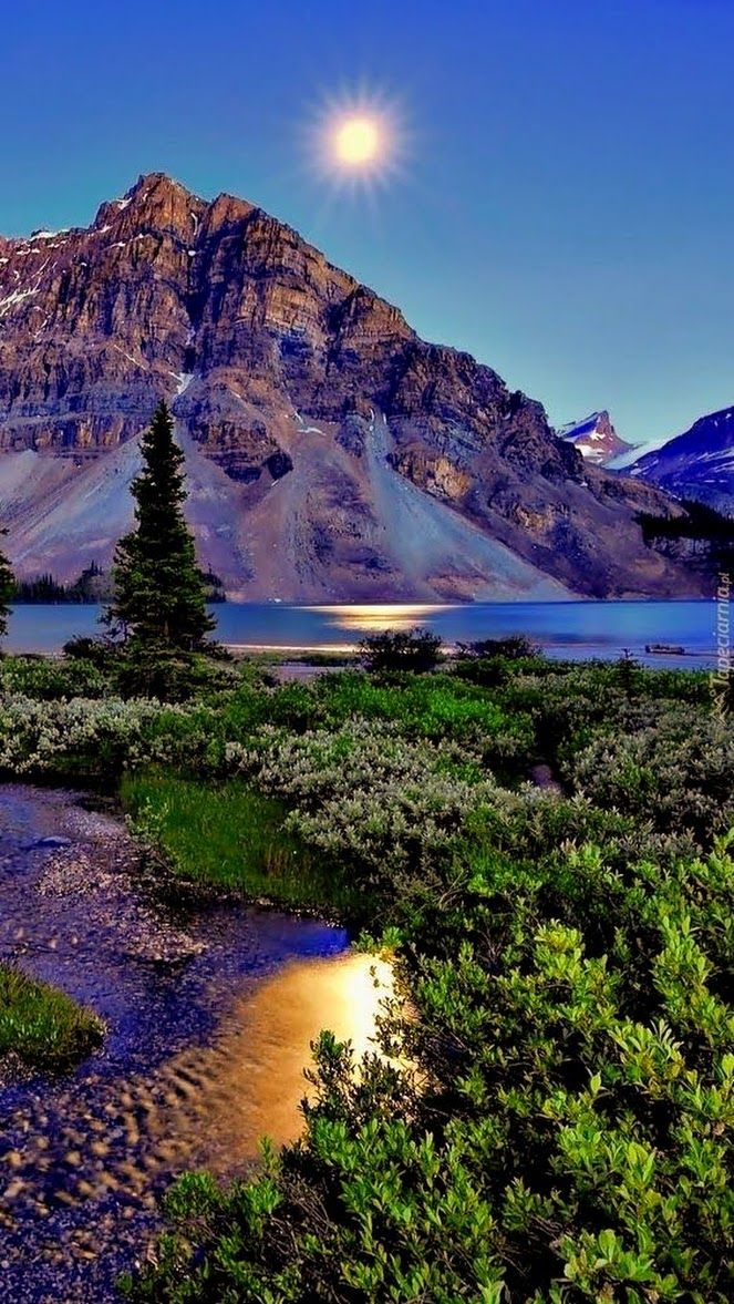 49Guillermina's tweet photo. https://t.co/Pj71HZEnJq