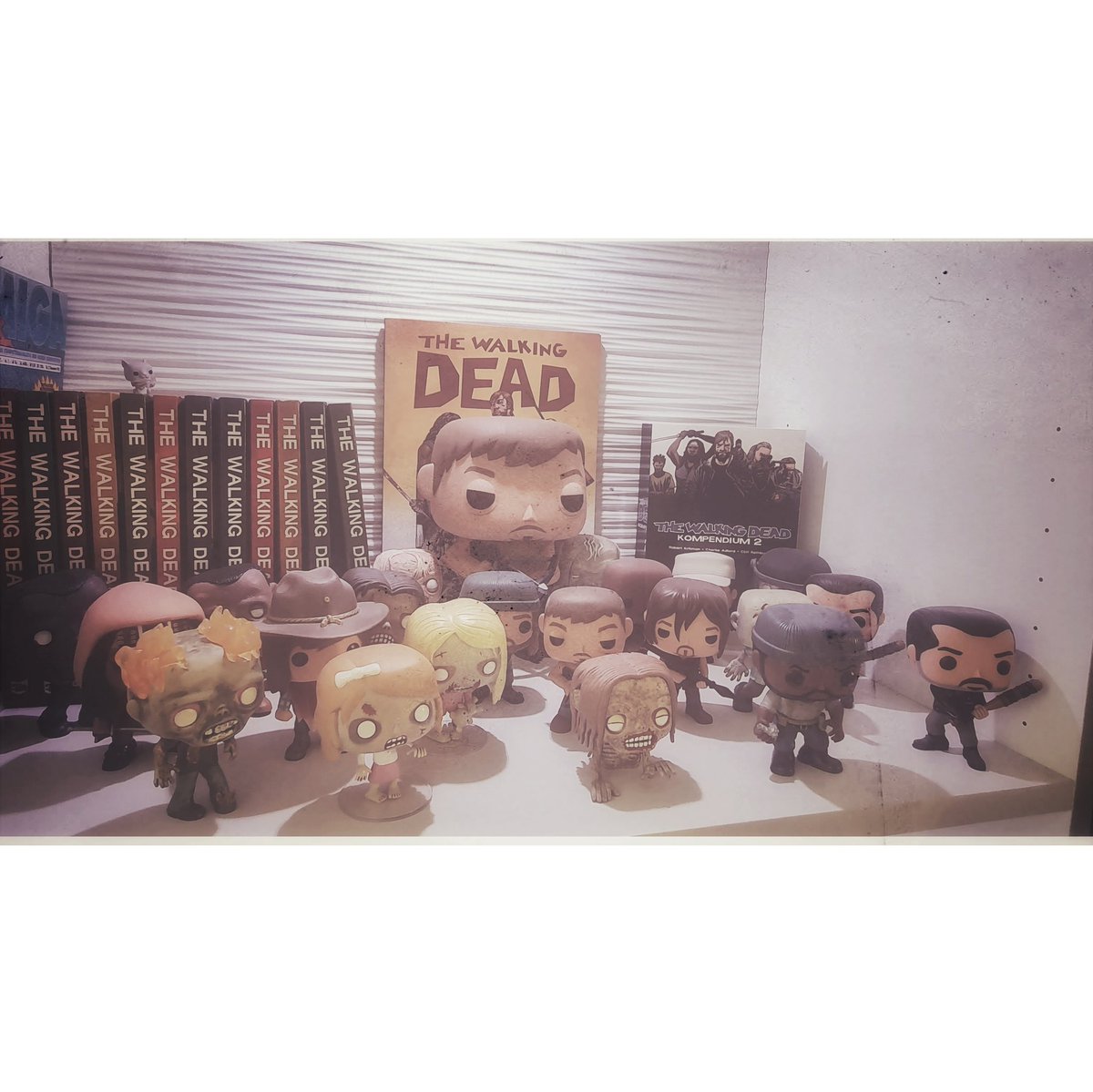 Ada_cgn's tweet photo. Day 9 of #FunkoPhotoADayChallenge
Todays theme: #FunkFamily
#walkingdead #zombie #comic #funko #funkopop #funkopopvinyl https://t.co/7EvNWDvM0p