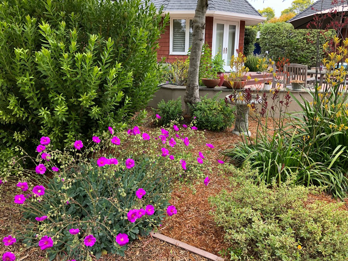 GreenGrowLS's tweet photo. So grateful for clients like these that understand the importance of weekly maintenance. It's this regular care that produces such gorgeous results. So grateful to our clients for trusting us with the care of their property. It's always a pleasure to nurture such natural beauty. https://t.co/ohxkxIdwaa