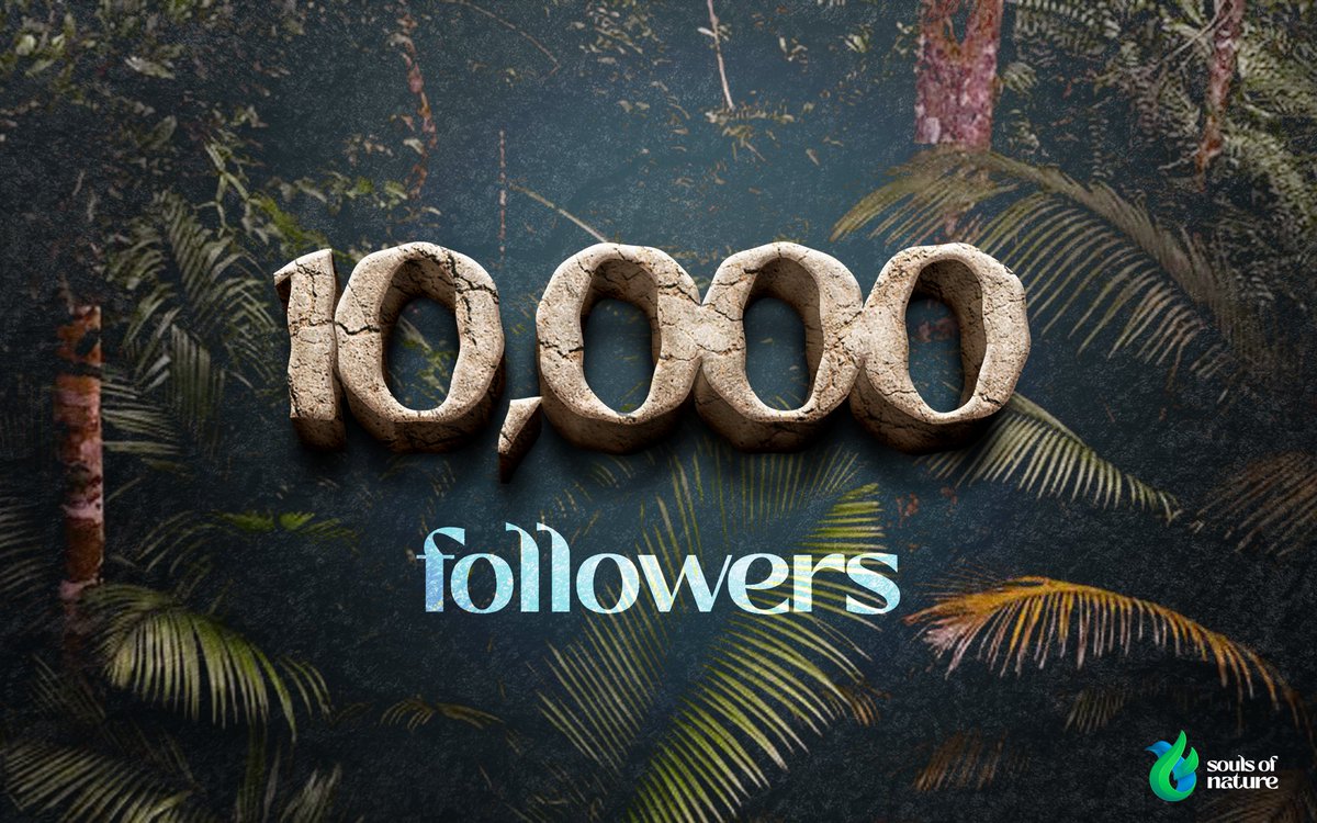 Multiverse tweet media