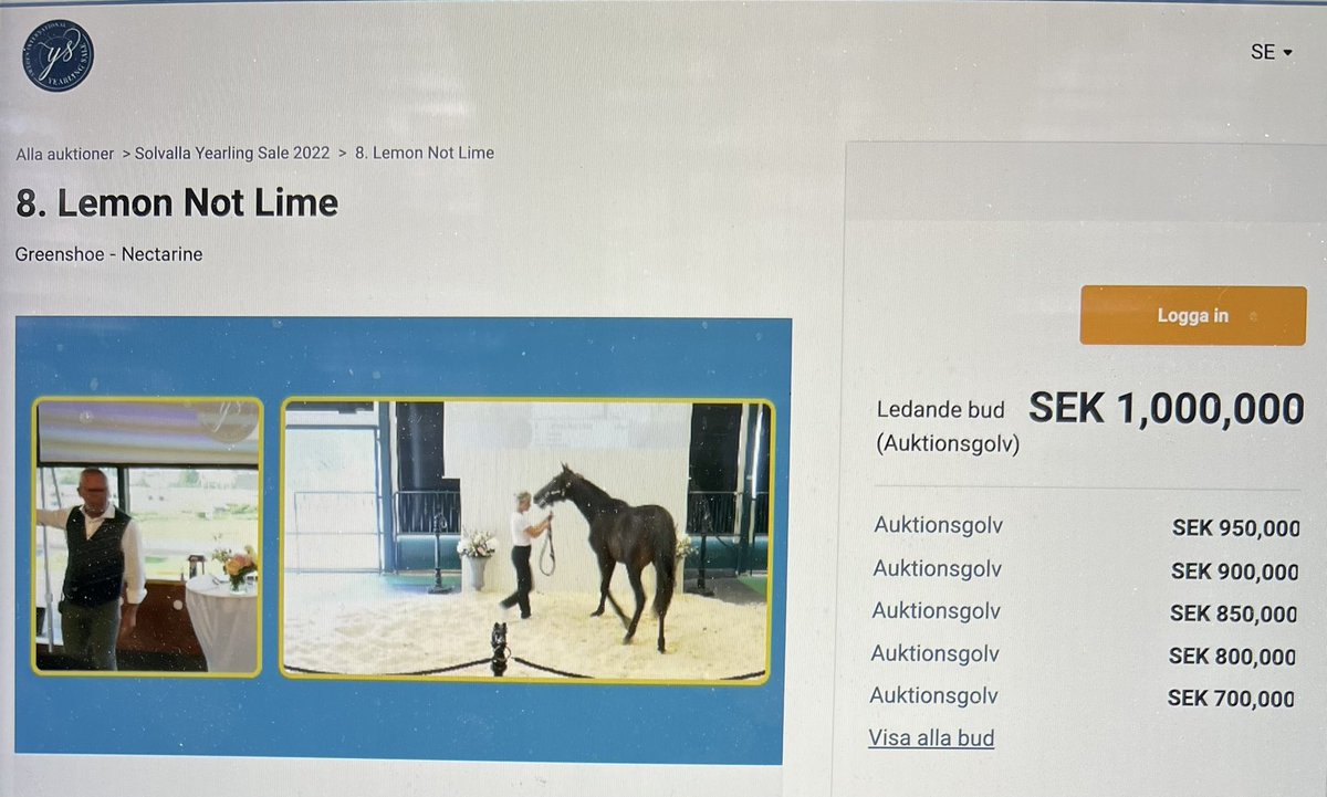 1st Greenshoe at Solvalla Yearling Sale $100,000. ✅ Sold to <a href="/MBSvedberg/">Markus Svedberg</a> Greenshoe standing at <a href="/Hanovershoefarm/">Hanover Shoe Farms</a>