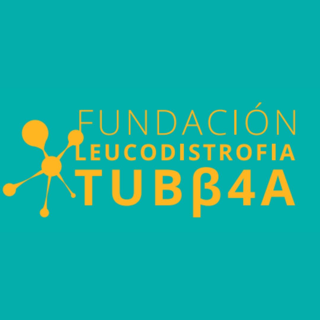 FundacionTubb4a's tweet photo. La #FundaciónTUBB4A nace para ayudar a personas que padecen enfermedades poco frecuentes de base genética, en particular, la Leucodistrofia asociada al gen TUBB4A.
Nuestros pilares son la investigación y el intercambio de conocimiento. https://t.co/aaMkum8kxo