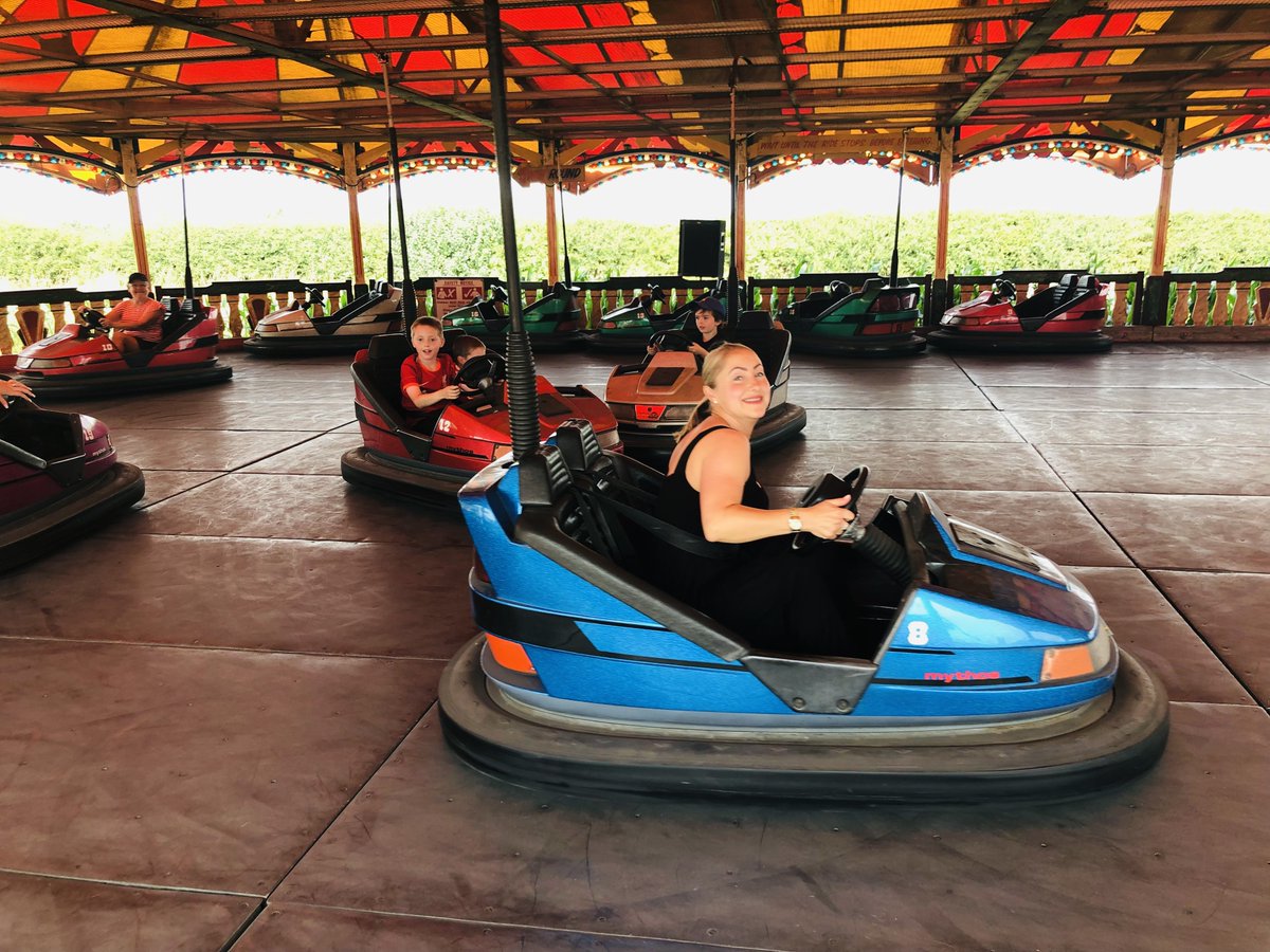 RyedaleMaze's tweet photo. ONLY 3 WEEKS LEFT TO GO! ⏳
Have you checked out this great summer attraction yet?
Enjoy UNLIMITED funfair rides included in ticket price!  Plus adults pay same price as kids! 🎫
With 2 Dinosaur-themed mazes to explore, a thrilling Vintage Funfair, Football Darts &amp; Bale Mountain https://t.co/UdA8AWpJhJ