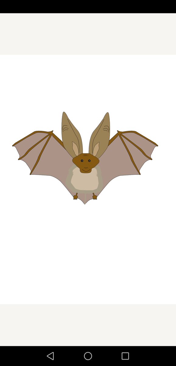 The first paper of my PhD is finally out and about! Thanks to <a href="/MariAasFjelldal/">Mari Aas Fjelldal</a>, Claus Bech, Jeroen van der Kooij, <a href="/karolineskaara/">Karoline H. Skåra</a>, Katrine Eldegard and <a href="/ClareStawski/">Clare Stawski</a> for the collaboration!

Feel free to read about the benefits of being a fat bat here: link.springer.com/article/10.100…