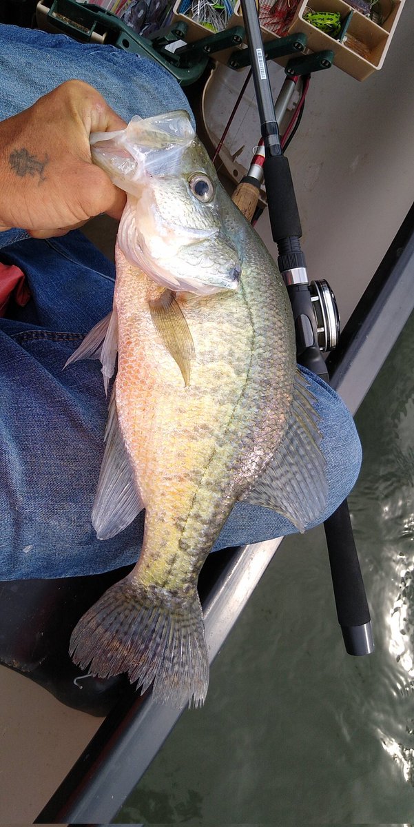 Alabama_Bassin tweet picture