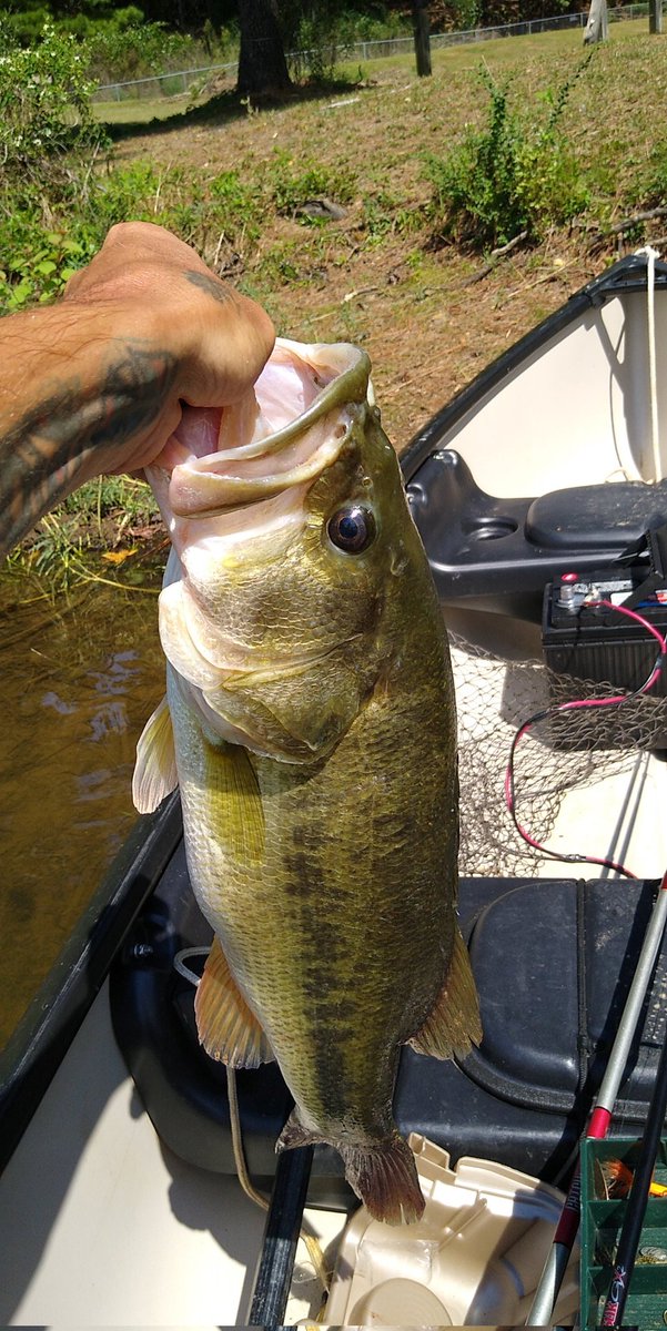 Alabama_Bassin tweet picture