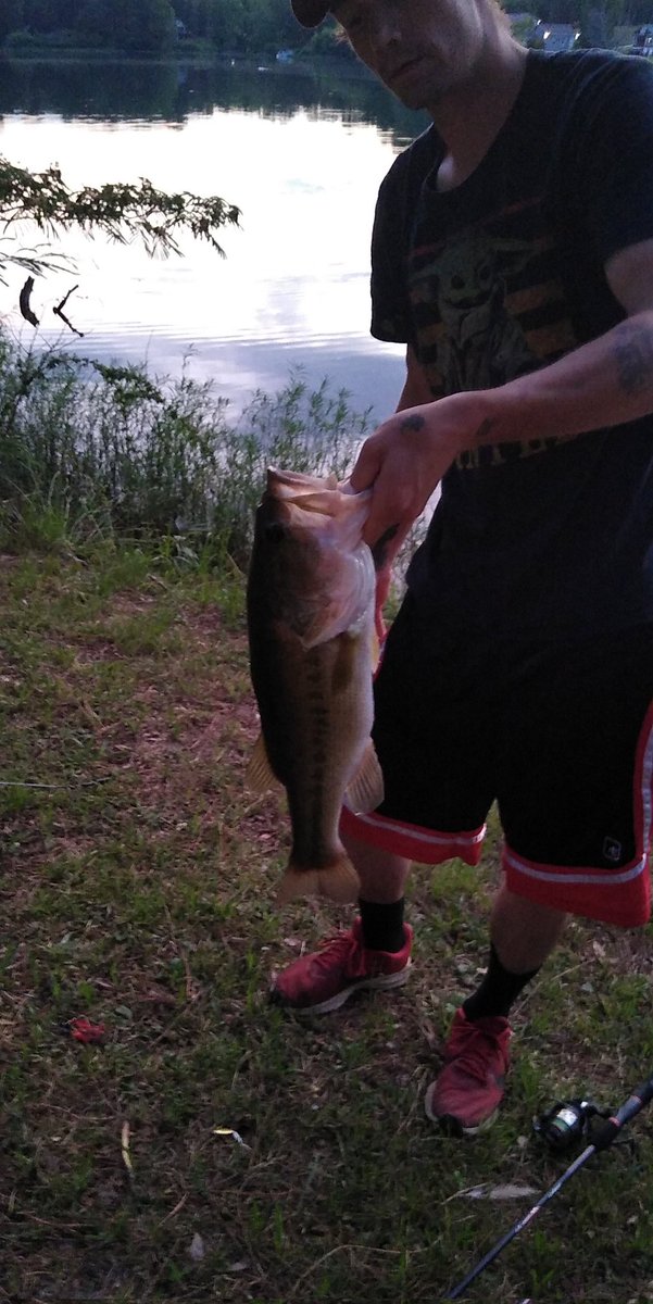 Alabama_Bassin tweet picture