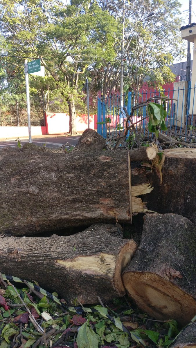 AlexandreTPinto's tweet photo. Isso é meio que matar a mãe, irmã ou filha por deixar cabelos no box.
@portaldesumare
@rcsumareacao
@psolsumare
@sumaresp
@ptsumare
@JornalTODODIA 
 #sumaresp #sumarecity #campinas #campinassp #campinascity    #americana #americanasp #americanacity #hortolândia #campinaseregiao https://t.co/xuMNhOsyvT