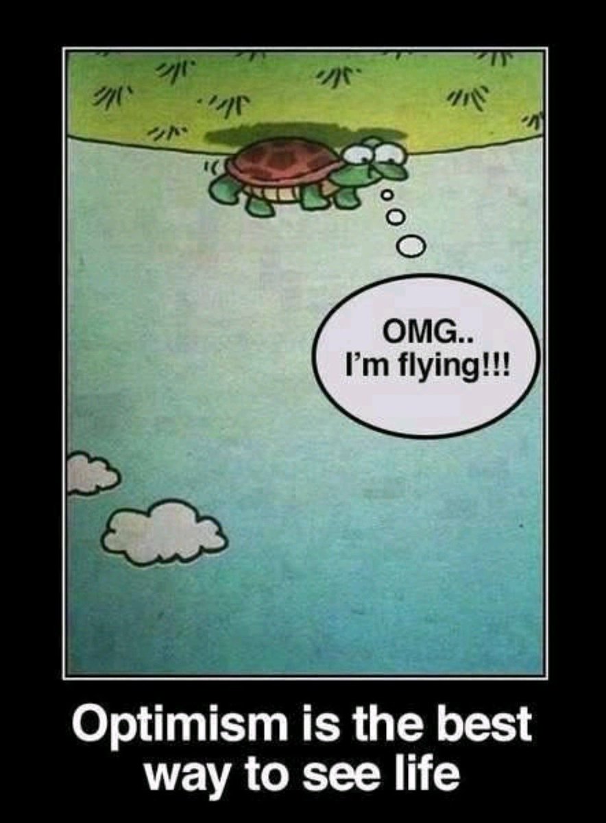 fallvideoteam's tweet photo. It's all in how we look at things..... https://t.co/3lxskpt2eP