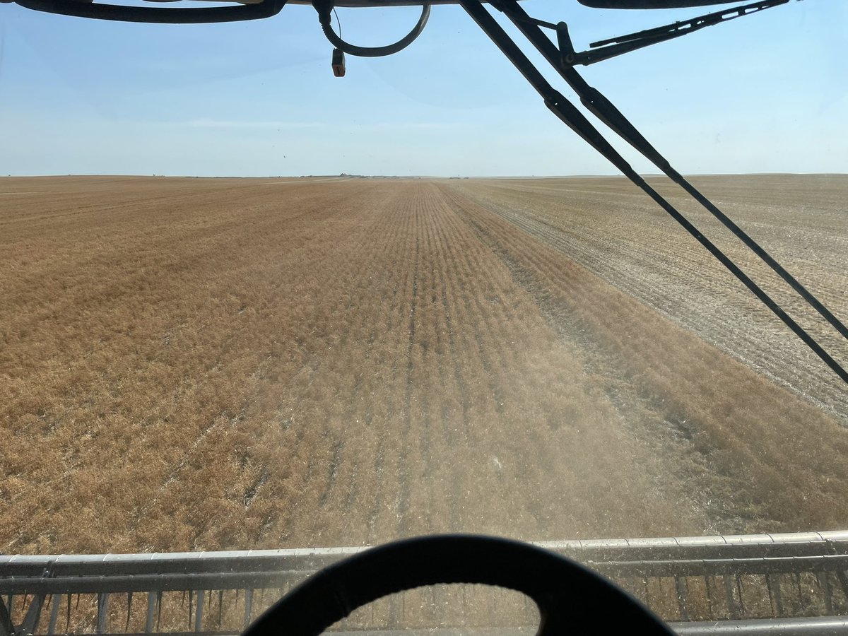 Low and Slow. Lentil Harvest in West Central Saskatchewan #harvest22