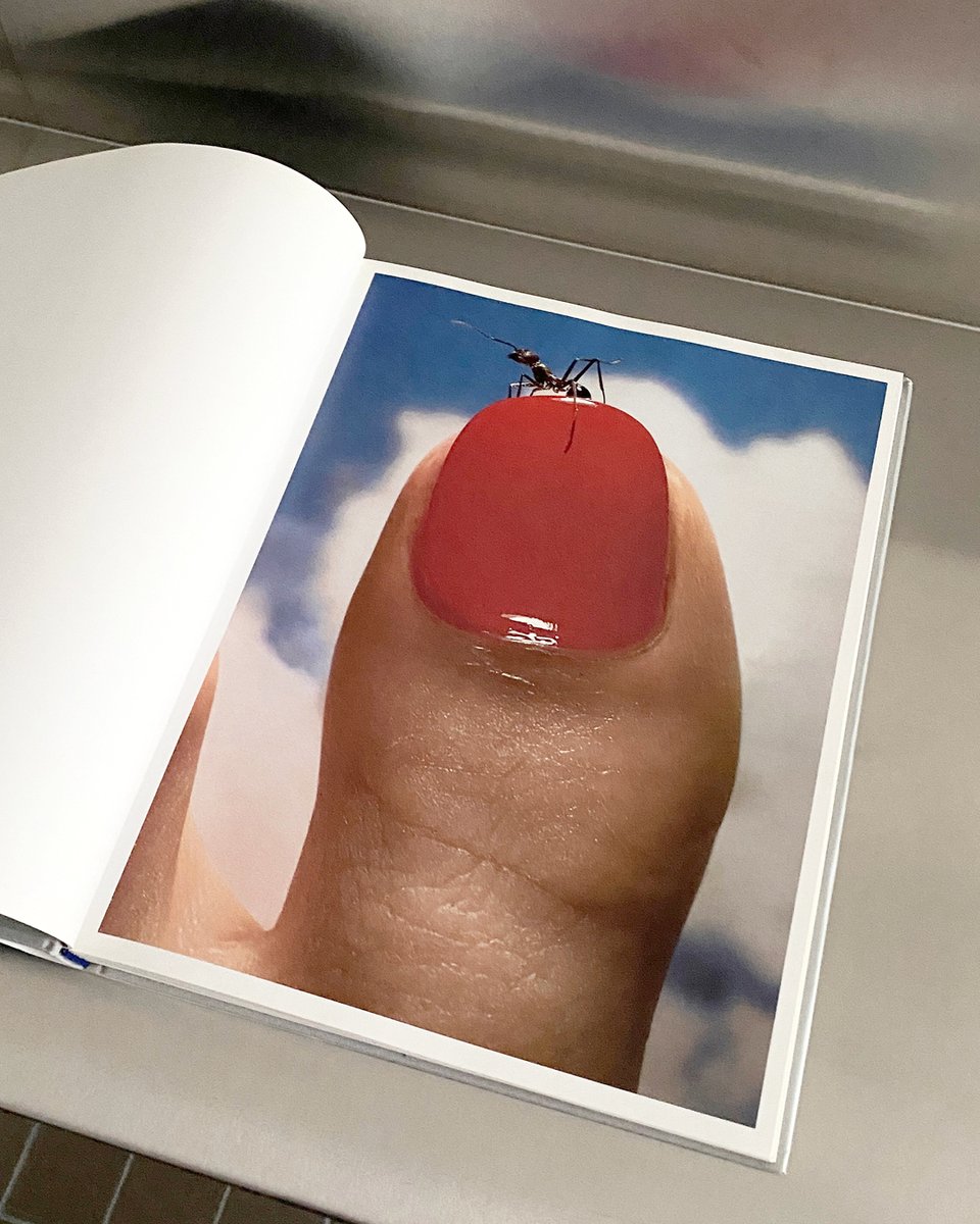 acnestudios's tweet image. #FromtheLibrary: Hiro by Richard Avedon. A master of precision, elegance, and startling graphic imagery, the extraordinary brilliance and range of Hiro&apos;s photography is presented for the first time in this book.