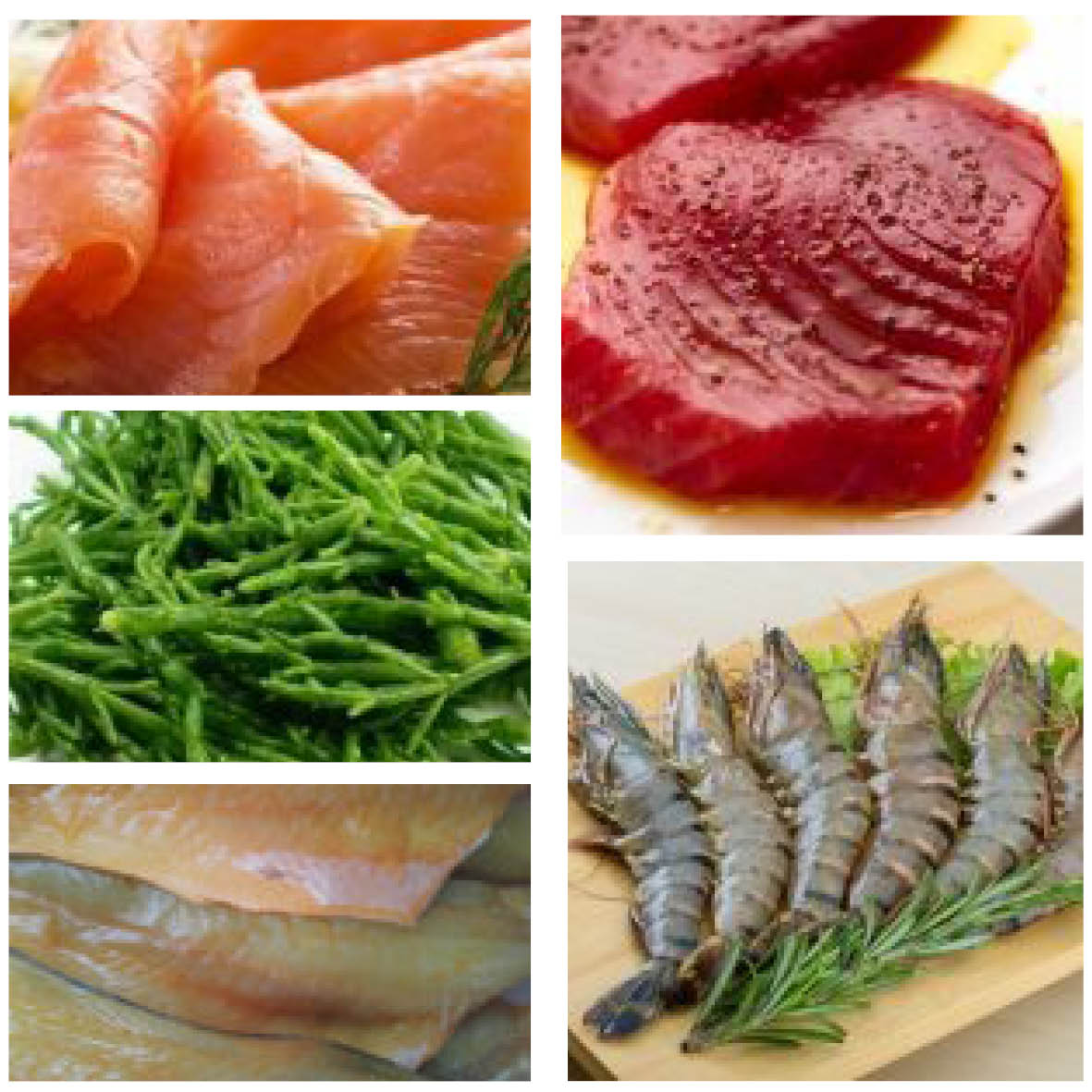 Cowbridge Food Collective tweet media