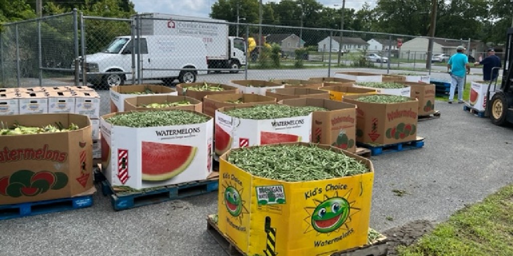 CCharitiesUSA's tweet photo. Last week, Catholic Charities Wilmington received an incredible gift for their neighbors in need! Thanks to First Fruits Farm for 12,000 pounds of corn, beans, zucchini (and more!) and to the staff and volunteers who distributed the produce to the local community within 24 hours. https://t.co/xME1f4Pany