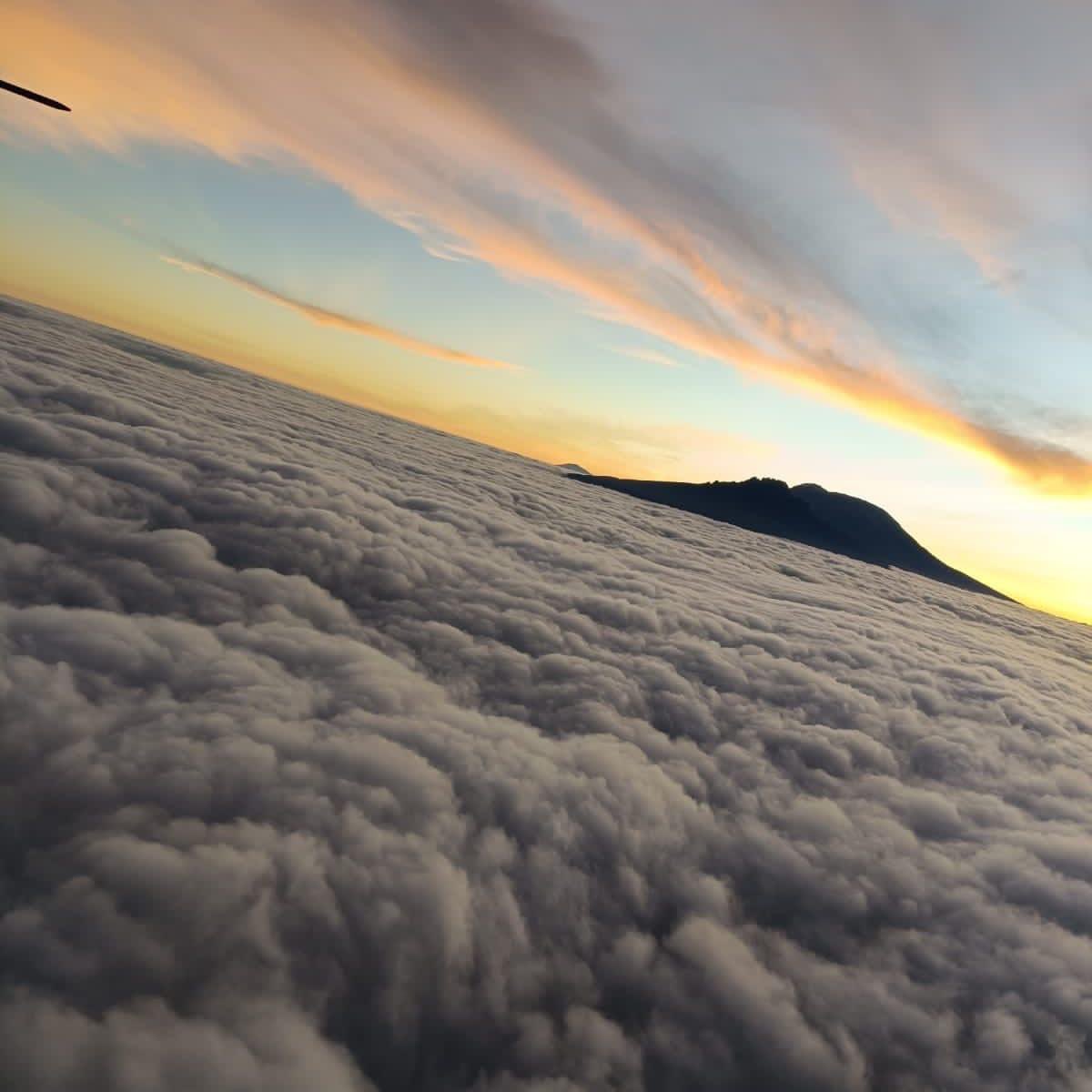 Mohamed Abdi Muhamed (@mohamedabdi4740) on Twitter photo 