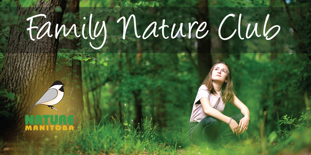 This Saturday! Register now for our next Family Nature Club trip August 20th! We will be heading to the Transcona Bioreserve, &amp; will be identifying the birds, bugs and plants in bloom! For kids aged 8-12 (accompanied by a parent/caregiver). Register here: bit.ly/3cCmxBU