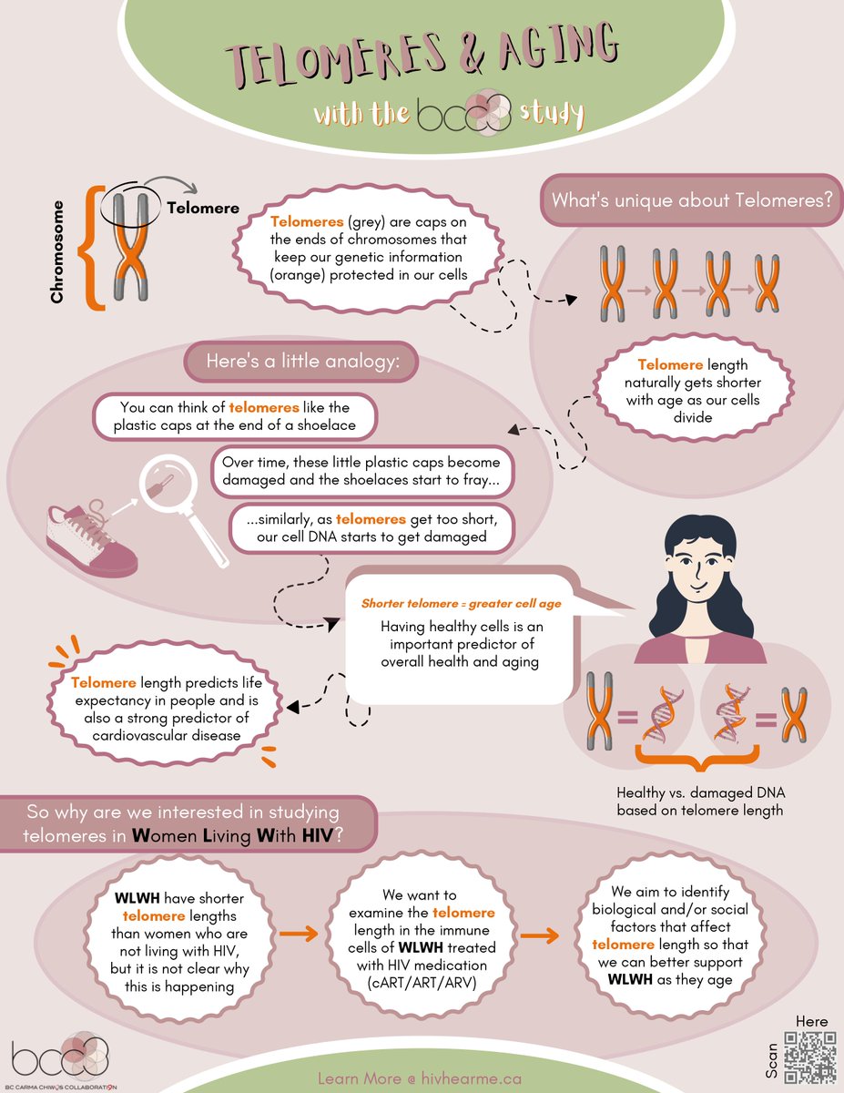 HIV_HEAR_me's tweet photo. Our team is committed to ensuring that our research is easy for everyone to understand. Check out our series of simple, fun, and colorful infographics that explain the science behind our study!

Our first infographic from #BCC3Science is on telomeres and aging. Check it out! https://t.co/V96vpcmnec