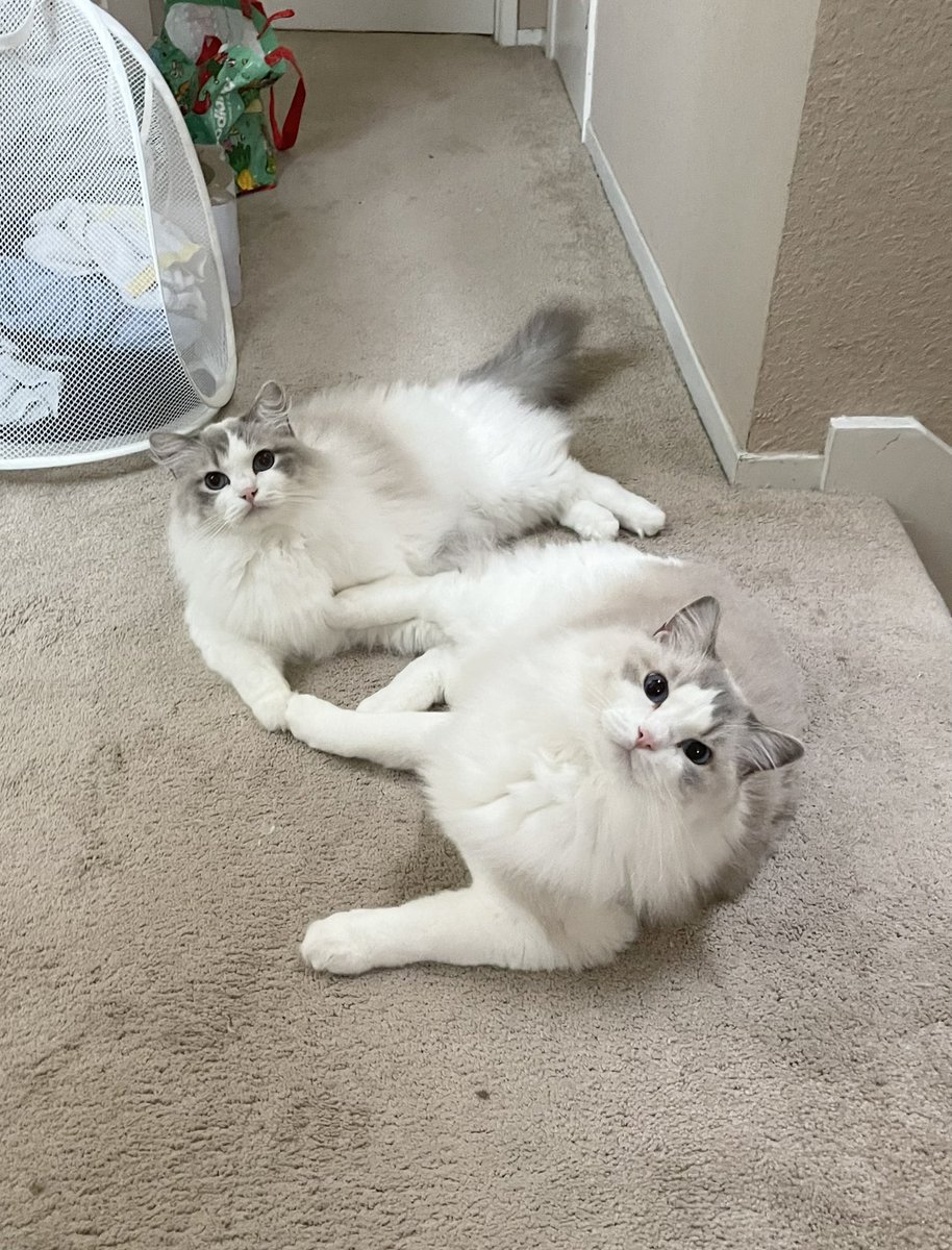 We are best friends!