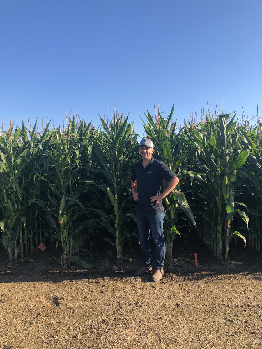 Sam Halloran tweet media