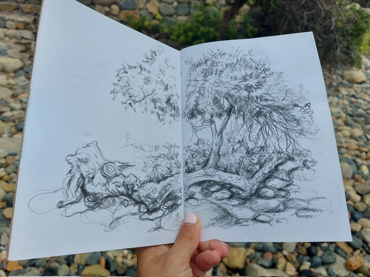 AgaGrandowicz's tweet photo. Finally having time for sketching nature again; thank you holidays ;)

#drawingsardinia #sardiniannature #sardinia #summerdrawing #pencilsketchsardinia
#drawinginitaly #wildlifeartist https://t.co/EXs8PqxZ1S