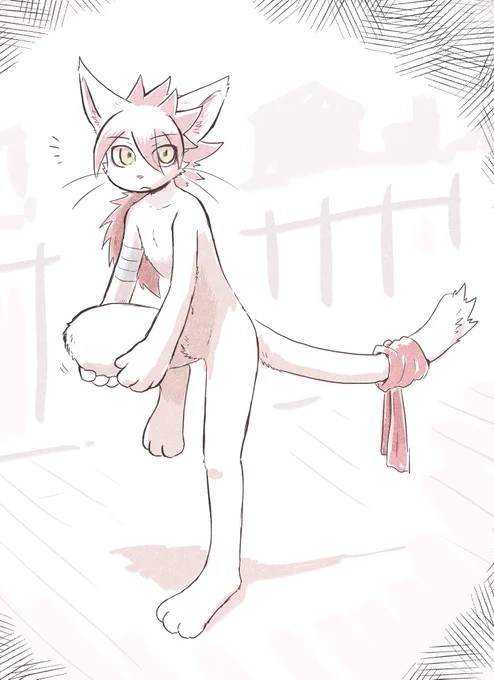服なし生活にだいぶ慣れてきた頃のケモお兄さん 