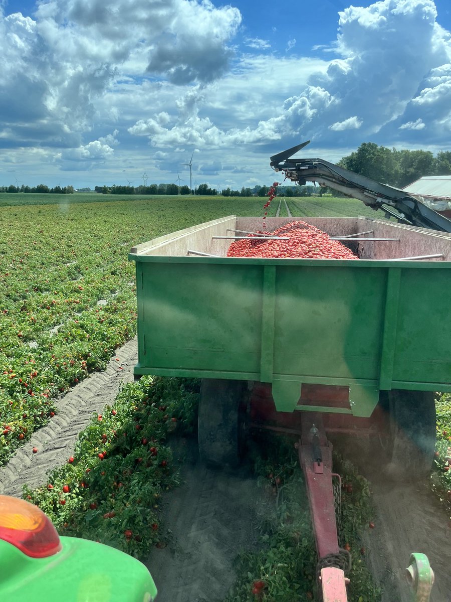 TooDeere's tweet photo. Summer‘s over 🥲 https://t.co/DP19bm1vTM