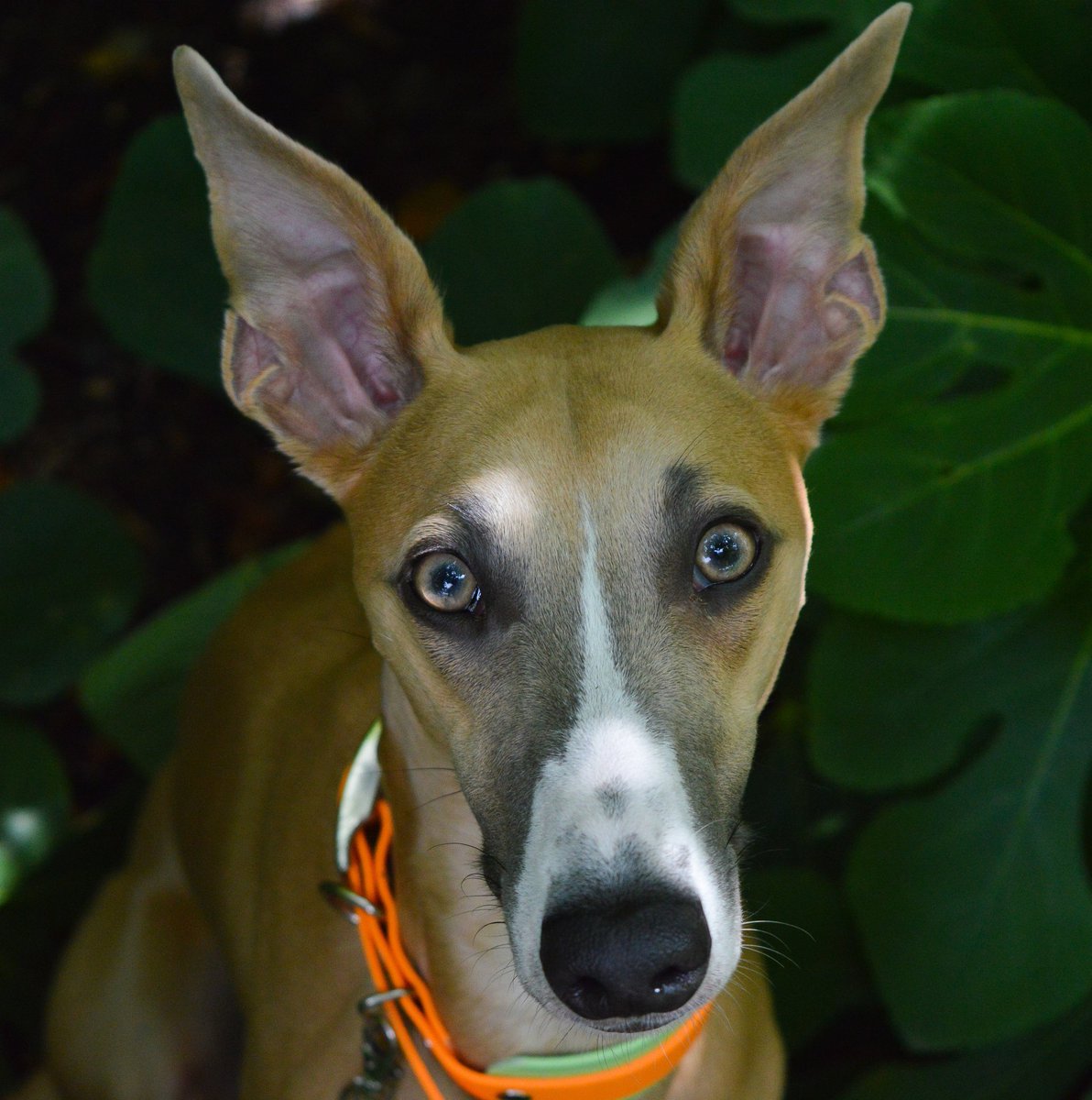 How is everybody doing 😁