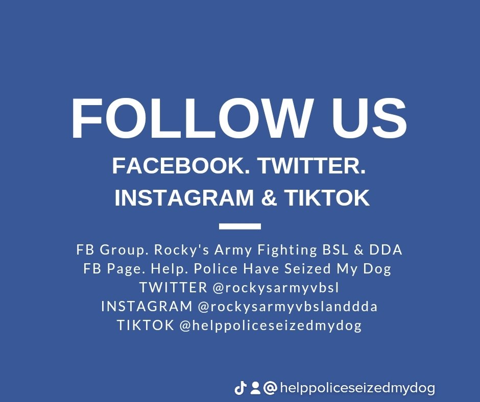 rockysarmyvbsl's tweet photo. #rockysarmy are a support group in the #ukfor families whose #dogs are seized as suspected banned breeds under the dangerous dogs act. Give us a #follow across all social media sites #Facebook #twitter #instagram #tiktok https://t.co/r3j6elLQEC