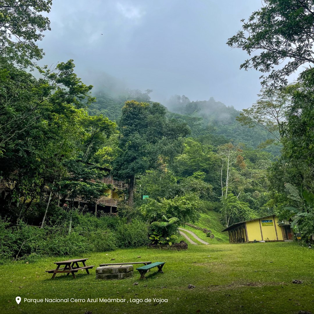 visithonduras's tweet photo. #PANACAM es un sitio perfecto para relajarse con los sonidos de las aves y del viento entre sus frondosos árboles.
PANACAM is a perfect place to relax with the sounds of birds and the wind among its leafy trees.🌳#VisitHonduras #Nature #Travel https://t.co/eMPOuO9kAF
