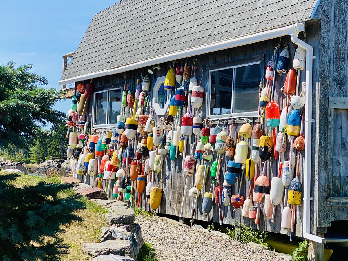 JoshMoulton's tweet photo. Orr’s Island, Maine. Pics for paintings. #art #artgallery #maine #eastcoast #lobster #lobstermen #newengland #baileyisland #orrsisland #mackerelcove #harpswellmaine https://t.co/5mKP63Q188