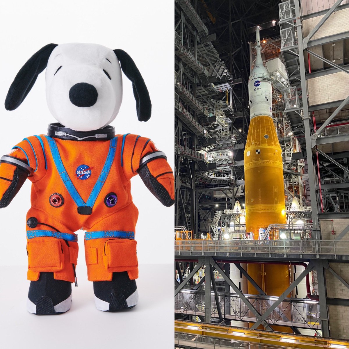 CerebrosG's tweet photo. Estamos a solo unos días del lanzamiento de Artemis I, una misión sin tripulación a la Luna.

Un peluche de Snoopy será uno de los principales “tripulantes” de la expedición.

Esto será un enorme paso para iniciar el proceso del regreso de la humanidad a la Luna. https://t.co/CYwz59lxc5