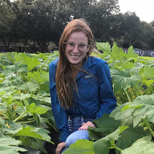 NCPlantBreeding's tweet photo. Congratulations to @CropAndSoil Cassie Newman, with the Dunne peanut breeding lab, for being named the @NAPB_GSWG 2022 Borlaug Scholar #WomenInPlantBreeding @NAPlantBreeders @NCStateCALS @NCStateGGAGrad https://t.co/H0ViDhgREm