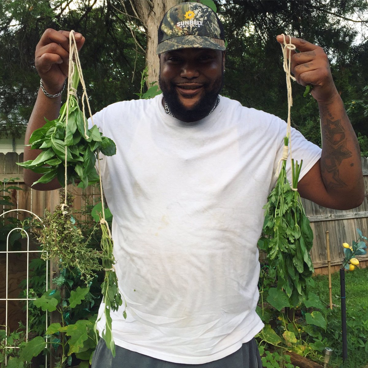 🌿 The Grower 🪴 tweet media